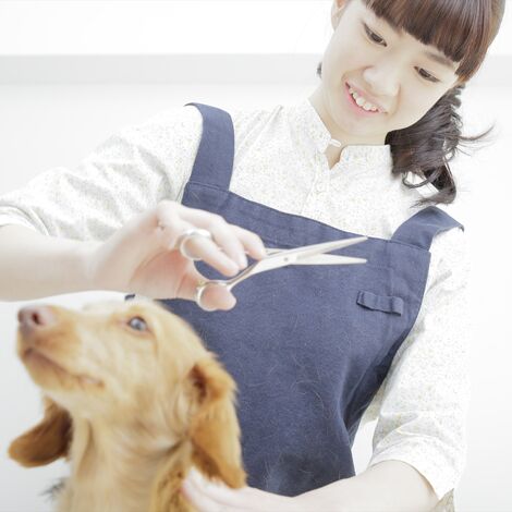 ベテランのトリマー